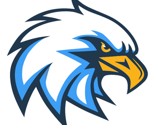 Ayers Ryal Side PTO Eagle Logo