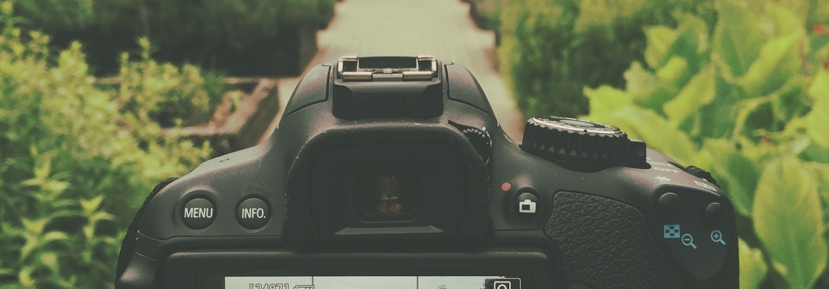 camera on tripod in park